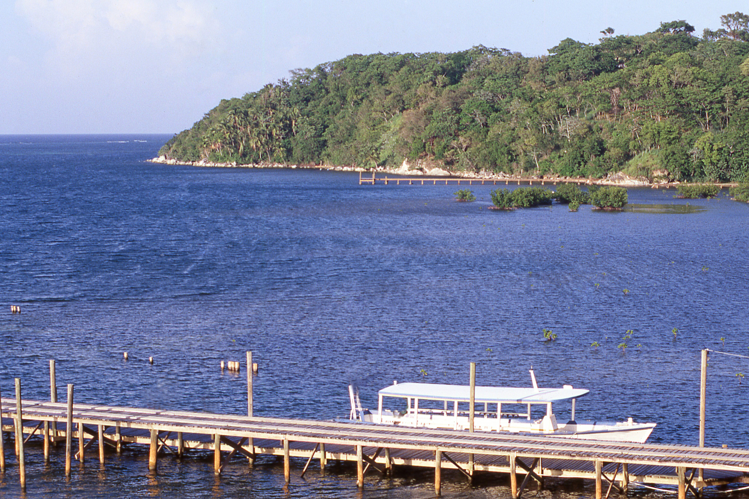 17 guanaja, bay of islands.webp